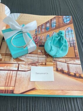 Tiffany & Co. Elsa Peretti Snake Bangle Sterling Silver $1,425 NEW